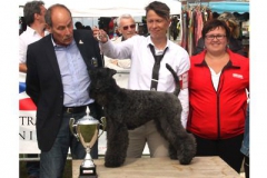 APoP-Dieppe-july-16-class-puppy-BEST-IN-SHOW-PUPPY-with-Mrs-Makomaski-400-275