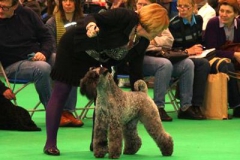 Pat-Munro-Crufts-400-275-1