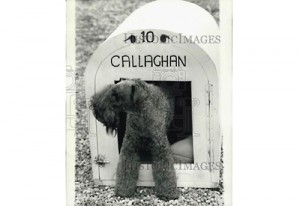 1979-Callaghan-400-1