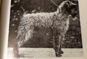 Champion-USMA-O'ROM-1922-400-1