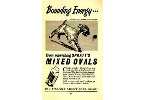 bounding-energy-400-1