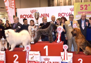 VINCITORI-EXPO-CANINA-2016-2-400-275-1