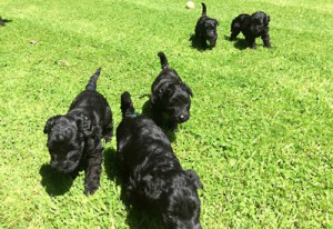 Enjoying a little supervised sunshine and exploring